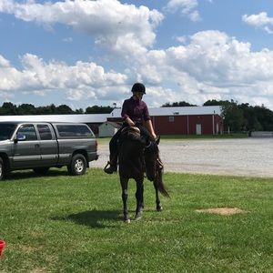 Meet your Posher, Grace